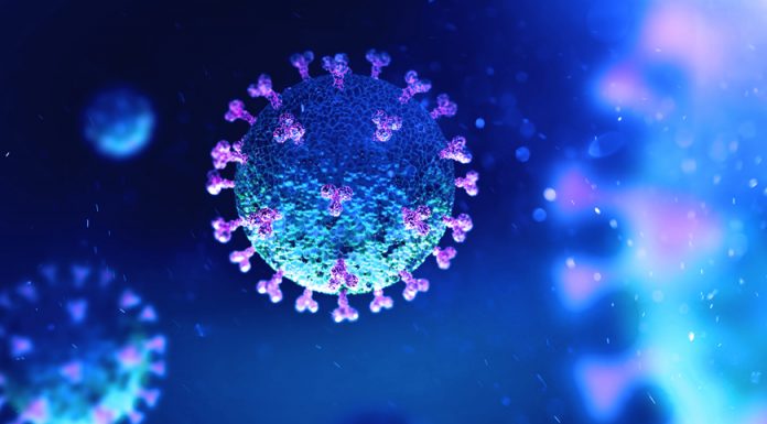 ELEN: Ye importante que los Estaos tamién comuniquen nos diferentes idiomes nesta crisis