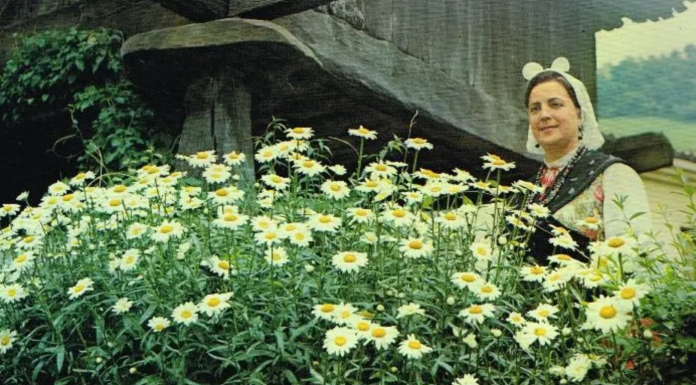 Iniciativa pol Asturianu muestra’l so pesar pola muerte de Diamantina Rodríguez