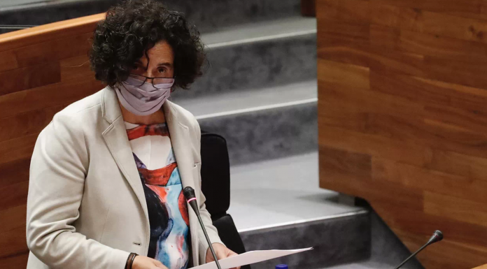 Iniciativa pol Asturianu tresllada nel Conseyu Asesor la necesidá d’abrir el procesu de reforma del Estatutu Berta Piñán