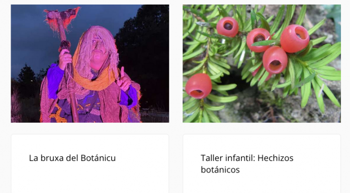 Iniciativa pol Asturianu denuncia que Ciudadanos miente sobre los talleres infantiles en Xixón