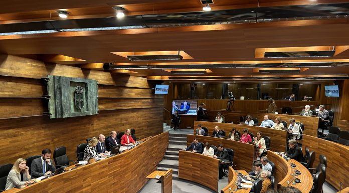 Iniciativa pol Asturianu considera que la mayoría parllamentaria espeya’l sofitu ciudadanu a la oficialidá